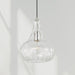 Capital Lighting 9B239A One Light Pendant, Polished Nickel (5)