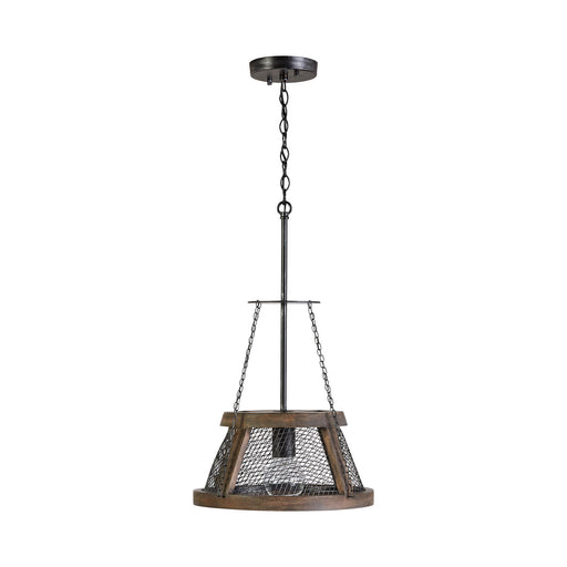 Capital Lighting 9D322A One Light Pendant, Zinc and Wood