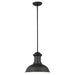 Generation Lighting 6247701EN3-12 Fredricksburg One Light Outdoor Pendant, Black Main Image.jpg