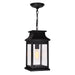 CWI Lighting 0418P7S-1 Milford One Light Outdoor Pendant, Black Main Image.jpg