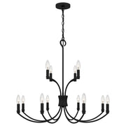 Quoizel BRR5032MBK Briar 12 Light Chandelier, Matte Black Main Image.jpg