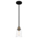 Quoizel COX1504MBK Cox One Light Mini Pendant, Matte Black Main Image.jpg