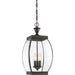 Quoizel OAS1509Z Oasis Three Light Pendant, Medici Bronze Main Image.jpg