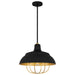 Quoizel QP5357MBK Darmody One Light Pendant, Matte Black Main Image.jpg