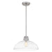 Quoizel QP5360BN Iona One Light Pendant, Brushed Nickel Main Image.jpg