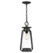 Quoizel SUT1509SPB Sutton One Light Mini Pendant, Speckled Black Main Image.jpg