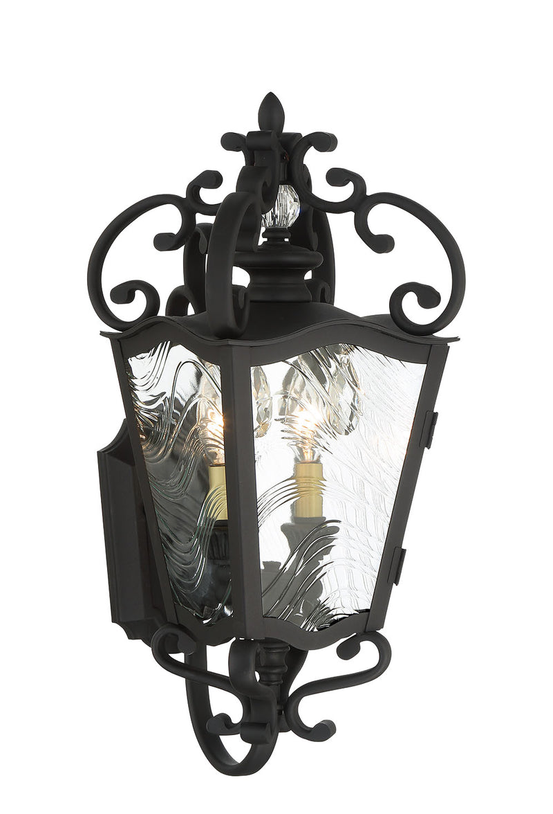 Minka-Lavery 9332-661 Brixton Ivy Two Light Outdoor Lantern, Coal W/Honey Gold Highlight Main Image.jpg