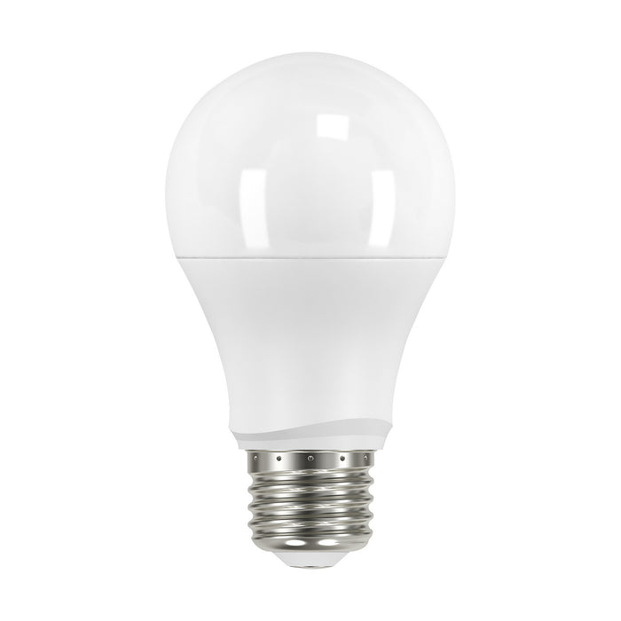 Satco S11427 Light Bulb, White Main Image.jpg