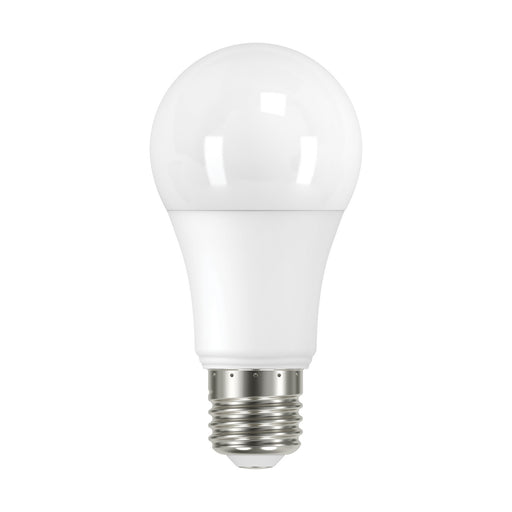 Satco S11432 Light Bulb, Frost Main Image.jpg