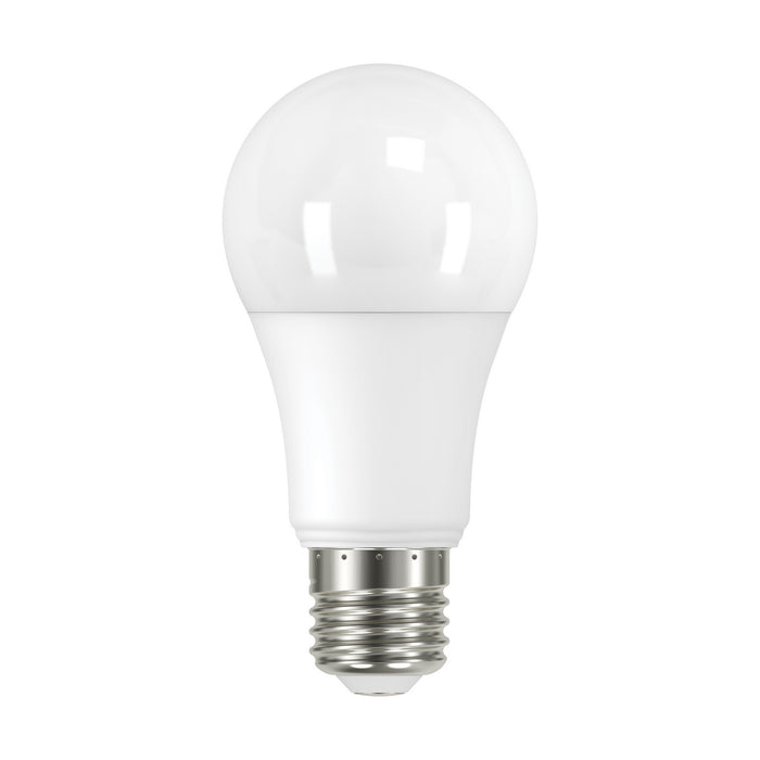 Satco S11432 Light Bulb, Frost Main Image.jpg