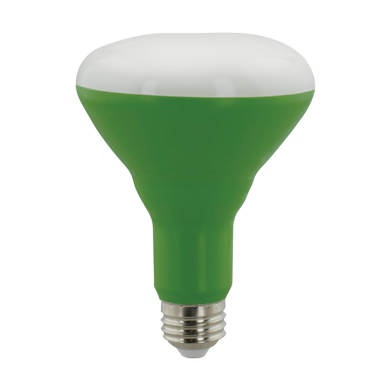 Satco S11441 Light Bulb, White Main Image.jpg