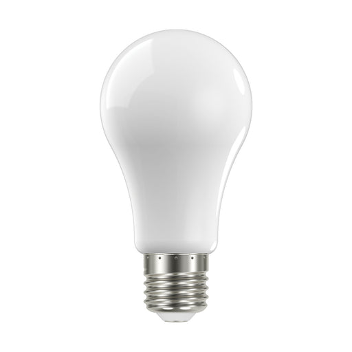 Satco S12433 Light Bulb, Soft White Main Image.jpg