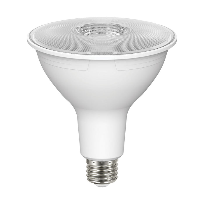 Satco S22219 Light Bulb, Clear Main Image.jpg