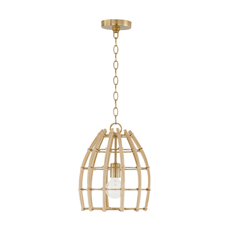 Capital Lighting 344111MA Wren One Light Pendant, Matte Brass Main Image.jpg