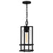 Quoizel DMN1507EK Damien One Light Mini Pendant, Earth Black Main Image.jpg