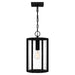 Quoizel HAZ1509EK Hazel One Light Mini Pendant, Earth Black Main Image.jpg