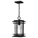 Quoizel MCL1908EK McAlister One Light Outdoor Wall Mount, Earth Black Main Image.jpg