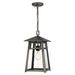 Quoizel MRL1909BBR Merle One Light Outdoor Hanging Lantern, Burnished Bronze Main Image.jpg