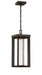 Minka-Lavery 72794-143-L Shore Pointe LED Pendant, Oil Rubbed Bronze Main Image.jpg