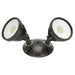 American Lighting ALV3-2H-DB LED Flood Main Image.jpg