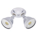 American Lighting ALV3-2H-WH LED Flood Alternate Image.jpg