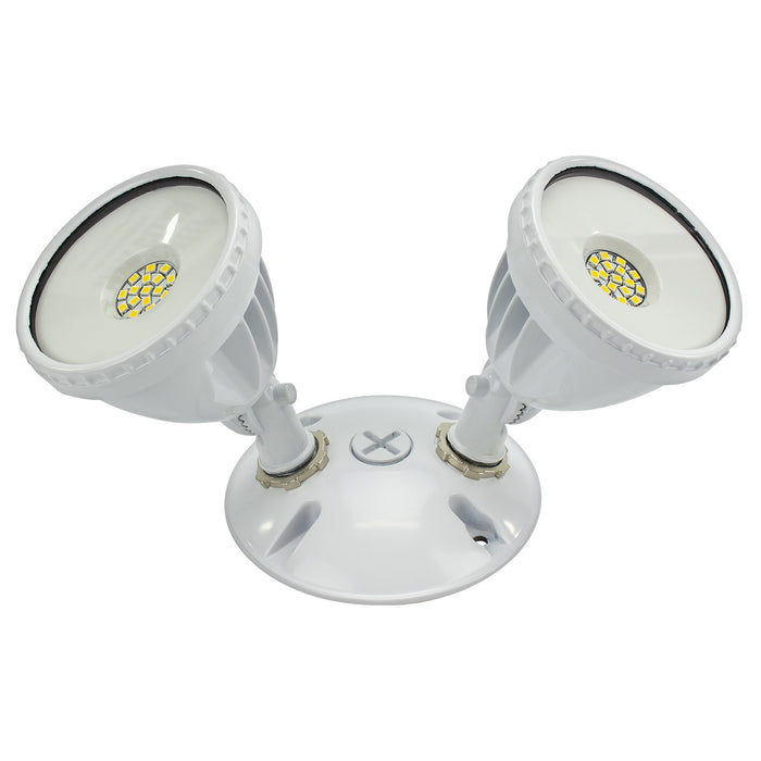 American Lighting ALV3-2H-WH LED Flood Main Image.jpg