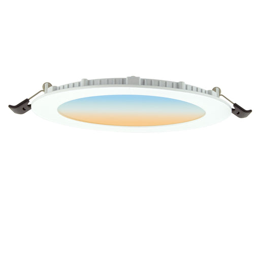 American Lighting BRD6-5CCT-RD 6" Round Disc Alternate Image.jpg