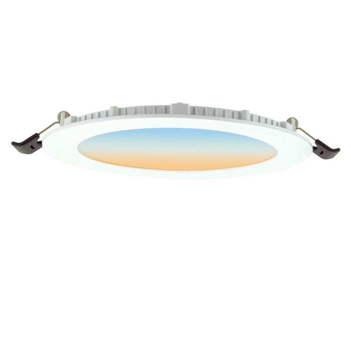 American Lighting BRD6-5CCT-RD 6" Round Disc Alternate Image.jpg