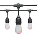 Satco S11288 LED String Light, Black Main Image.jpg