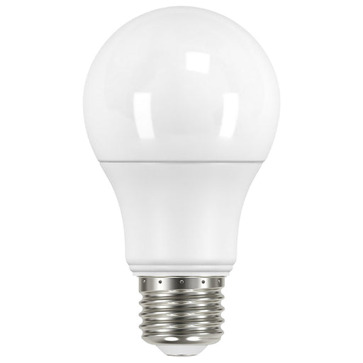 Satco S11451 Light Bulb, Frost Main Image.jpg