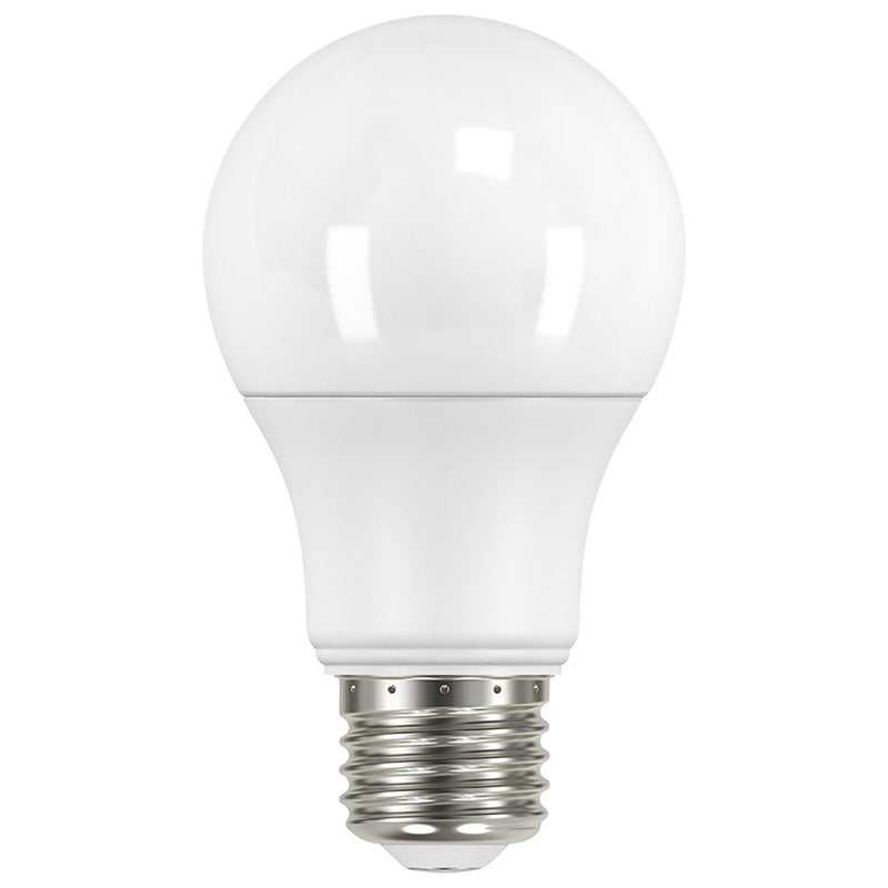 Satco S11452 Light Bulb, Frost Main Image.jpg