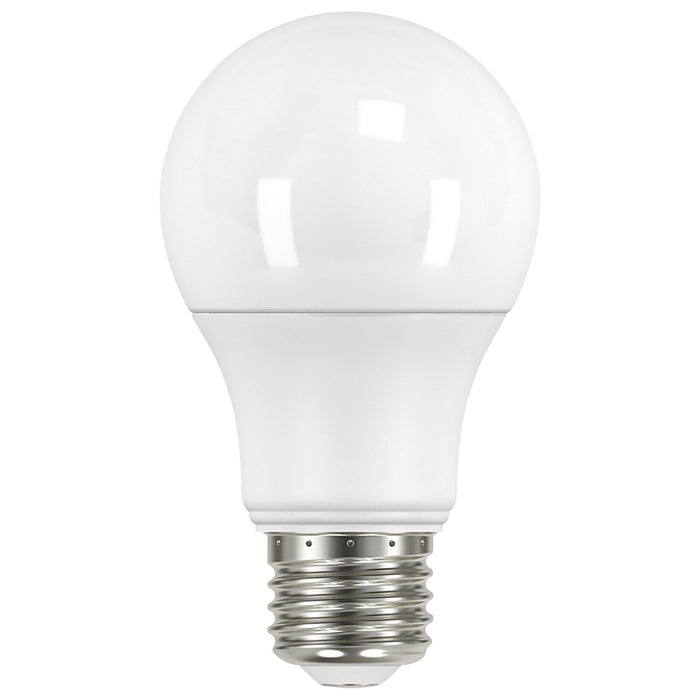 Satco S11452 Light Bulb, Frost Main Image.jpg
