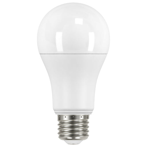 Satco S11456 Light Bulb, Frost Main Image.jpg