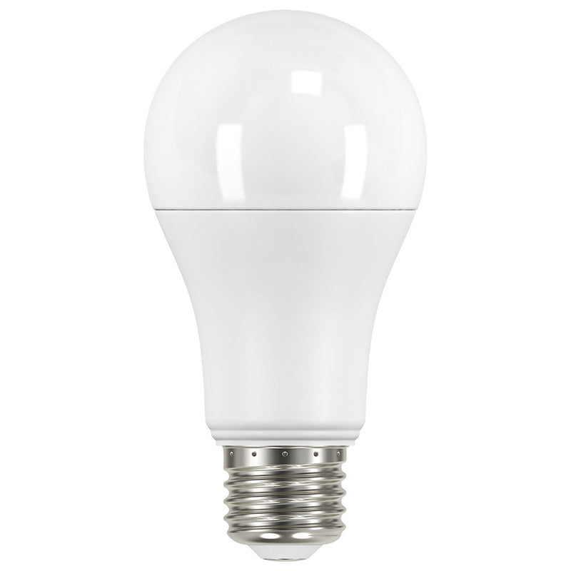 Satco S11457 Light Bulb, Frost Main Image.jpg