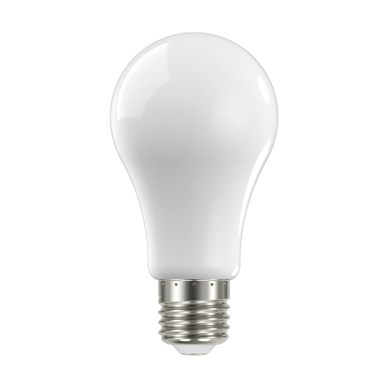 Satco S12440 Light Bulb, Soft White Main Image.jpg