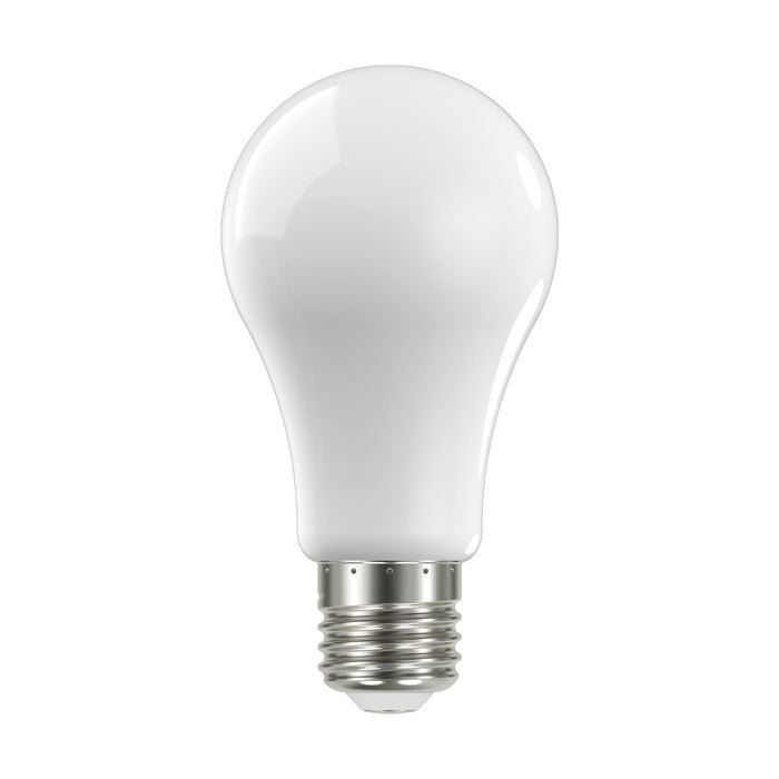 Satco S12440 Light Bulb, Soft White Main Image.jpg