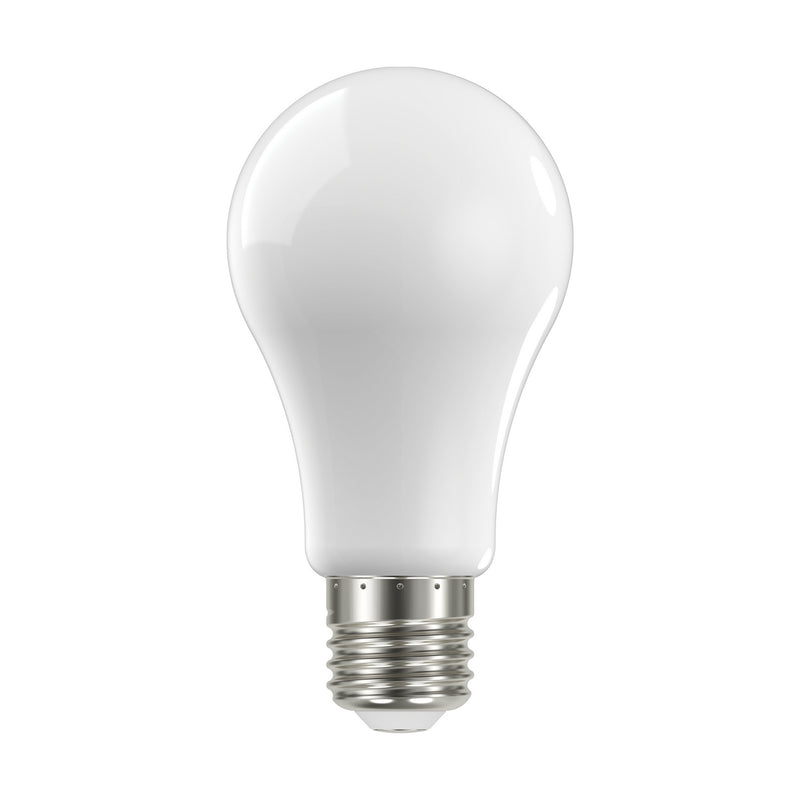 Satco S12441 Light Bulb, Soft White Main Image.jpg