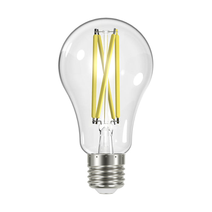 Satco S12442 Light Bulb, Clear Main Image.jpg