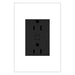 Legrand WNAR153G1 Adorne Plus-Sized 15A Outlet, Graphite Main Image