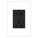 Legrand WNAR203G1 Adorne Plus-Sized 20A Outlet, Graphite Main Image