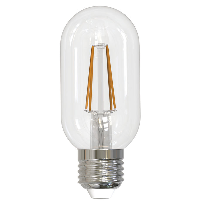 Bulbrite 776820 Filaments: Light Bulb Clear Main Image.jpg