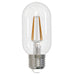 Bulbrite 776820 Filaments: Light Bulb Clear Main Image.jpg