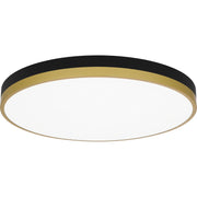 Quoizel WLN1620MBKG Weldin LED Flush Mount, Matte Black Gold Main Image.jpg