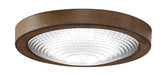 Fanimation LK6721BDCDF Spitfire LED Light Kit Driftwood Main Image.jpg