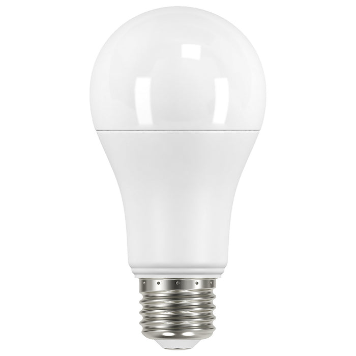 Satco S11424 Light Bulb, Frost Main Image.jpg