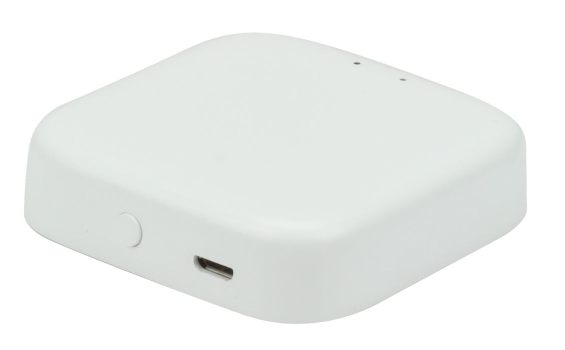 American Lighting SPKPL-GTWY Bluetooth Mesh Gateway Main Image.jpg