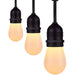 Satco S11292 LED String Light, Black Main Image.jpg