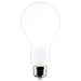 Satco S12451 Light Bulb, Frost Main Image.jpg