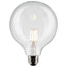 Satco S21254 Light Bulb, Clear Main Image.jpg