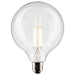 Satco S21259 Light Bulb, Clear Main Image.jpg